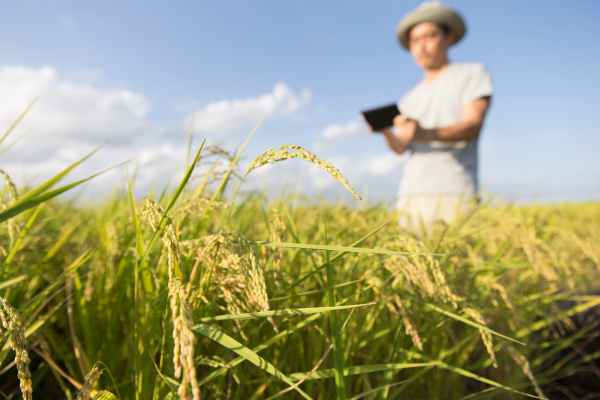 Way Qualificações Técnico em Agronegócios