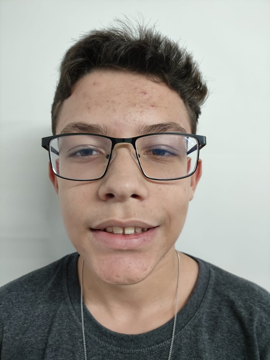 Pedro Henrique Mayrink Silva 