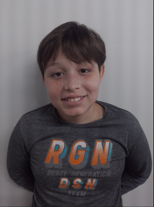 Vitor Rodriguês Gonçalves Arduino