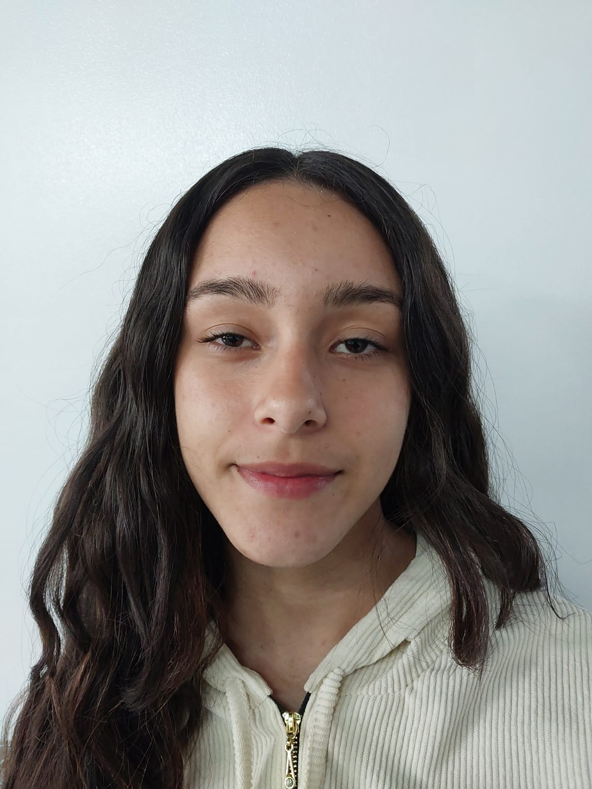 Thaislaine Ferreira Santos